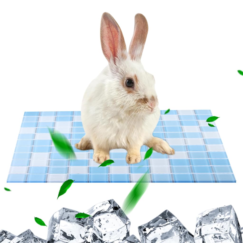 Qpets Cat Cooling Mat, Cooling Pad for Small Pets Cats & Dogs Summer Cooling Ceramics Mat, Fashion Cat Bed Mats Mosaic Bite Resistant Pets Pad for Hamster & Bunnies & Chinchilla (Blue, 30*30CM) Qpets Cat Cooling Mat, Cooling Pad for Small Pets Cats & Dogs Summer Cooling Ceramics Mat, Fashion Cat Bed Mats Mosaic Bite Resistant Pets Pad for Hamster & Bunnies & Chinchilla (Blue, 30*30CM)